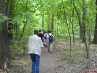 DSC00525.webp