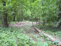 DSC00526.webp