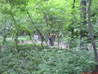 DSC00528.JPG