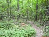 DSC00535.webp