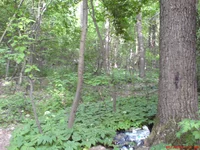 DSC00541.JPG