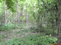 DSC00542.JPG