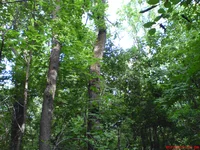 DSC00543.JPG