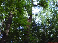 DSC00544.webp