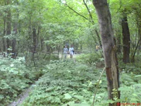DSC00550.JPG