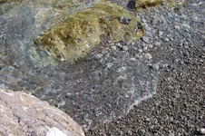 IMG_4626_p.jpg