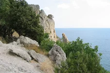 IMG_4768_p.jpg