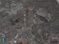 111.jpg