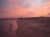 PB200065.webp