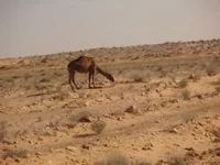 PB250566.JPG