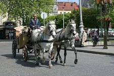 IMG_4787.webp