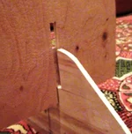 DSC00263.webp