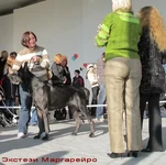 0cb1c0746ef2.webp