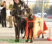 7b99963b3638.webp