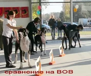 3eafd10abb22.webp