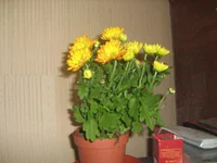  018.webp