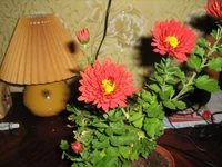  026.webp