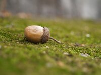 PB078282.jpg