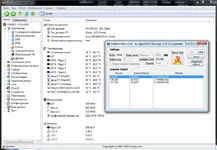 11.webp