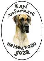 dog2.webp