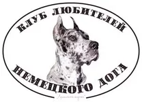 dog45.webp
