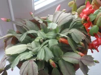 PB070222.webp