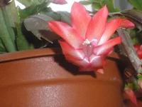 PB070223.webp