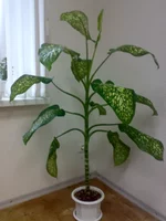 08112010134.jpg