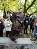 DSC02106 - копия.webp