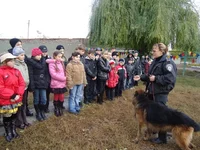 DSC02084 - копия.webp