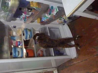  336.webp