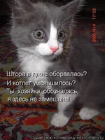 390378.webp