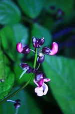 0_4298d_e555b541_L.jpg