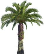 2601667a703220732d72afa91895742f.png