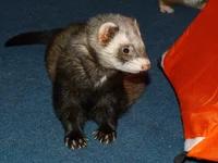 z_2a6941c8.jpg