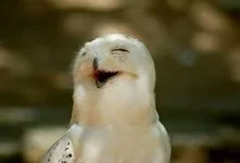 TrgrLbflF3HyA_nqYrhboxz5hJ-3Q8LBvbqkMcrCmRJZhG-E6J.jpg