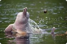 140806_239344.webp