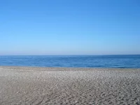 PB010065.webp