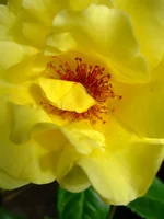 DSCF9403.jpg