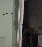 IMG_1235.jpg