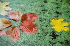 film0004.JPG