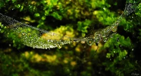 IMG_6871-1-1cop-1.webp