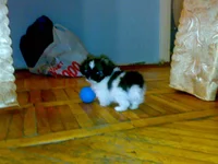 20082010404.webp