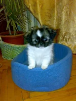 03092010449.webp
