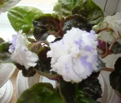  Мартовский снеговик.webp