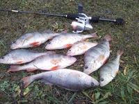 101112_095238.webp