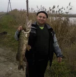 SP_A0709.webp
