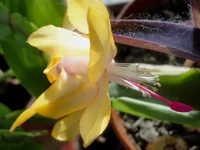 DSC03405.webp