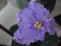 Stormy Weather _9154.webp