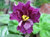 -День победы_9157.webp